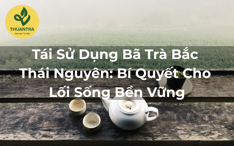 Khám Phá Cách Tái Sử Dụng Bã Trà Bắc Thái Nguyên Cho Lối Sống Bền Vững