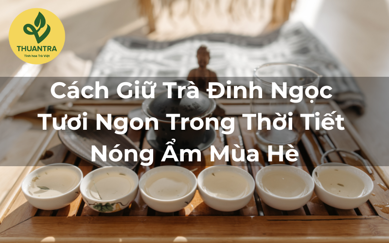 Cách Giữ Trà Đinh Ngọc Tươi Ngon Trong Thời Tiết Nóng Ẩm Mùa Hè