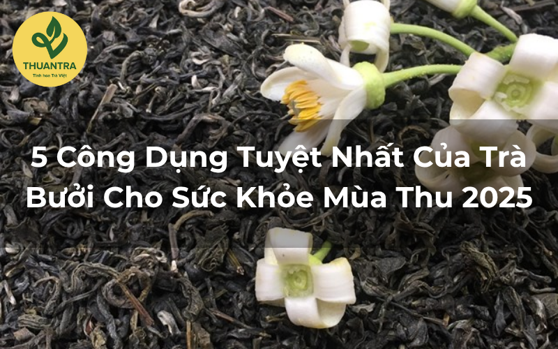 5 Công Dụng Tuyệt Nhất Của Trà Bưởi Cho Sức Khỏe Mùa Thu 2025