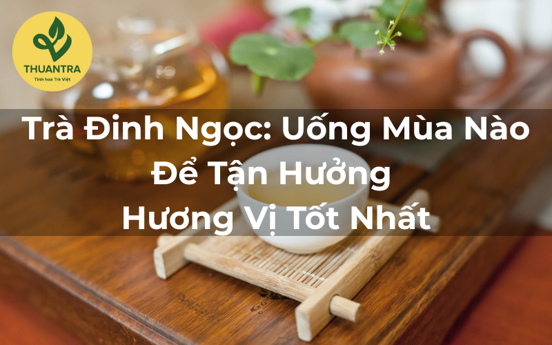 Trà Đinh Ngọc: Uống Mùa Nào Để Tận Hưởng Hương Vị Tốt Nhất