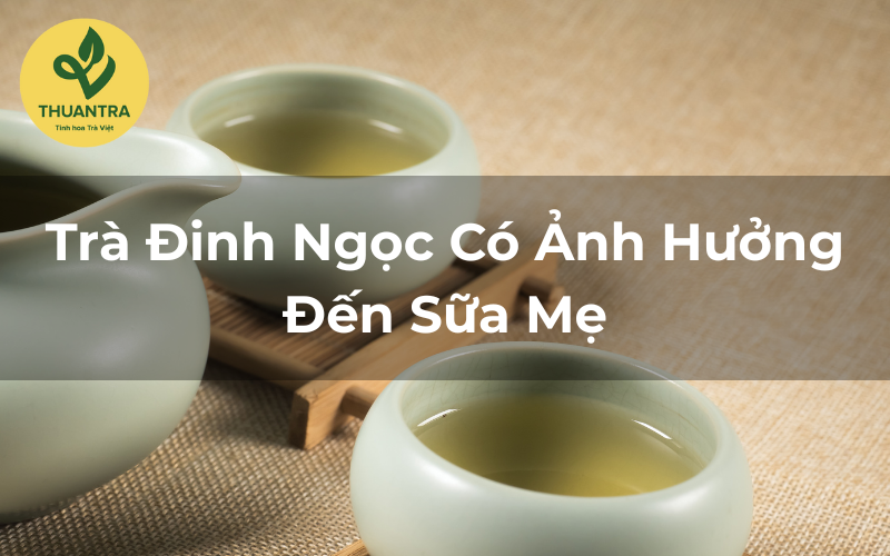 Trà Đinh Ngọc Có Ảnh Hưởng Đến Sữa Mẹ? Giải Đáp Cho Mẹ Bỉm
