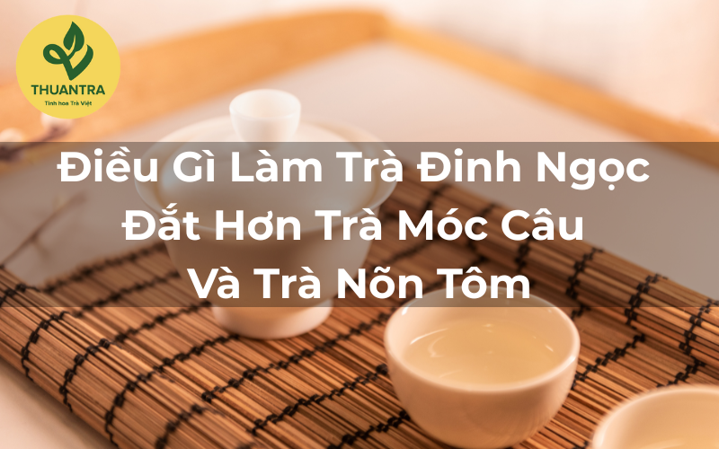 Điều Gì Làm Trà Đinh Ngọc Đắt Hơn Trà Móc Câu Và Trà Nõn Tôm