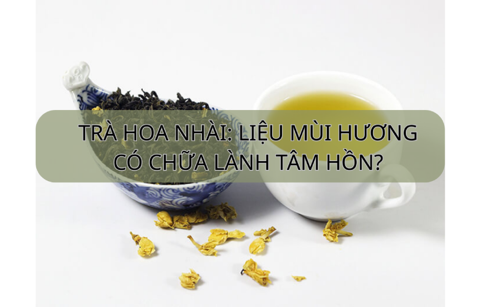 Trà hoa nhài là gì? Liệu mùi hương có thể chữa lành tâm hồn?