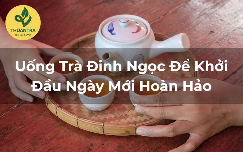 Uống Trà Đinh Ngọc Để Khởi Đầu Ngày Mới Hoàn Hảo