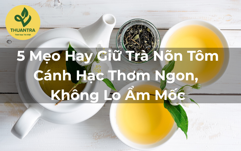 5 Mẹo Hay Giữ Trà Nõn Tôm Cánh Hạc Thơm Ngon, Không Lo Ẩm Mốc