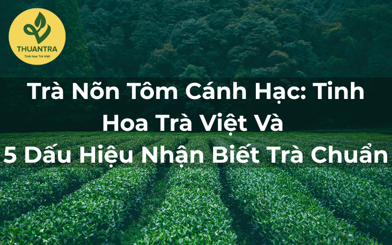 Trà Nõn Tôm Cánh Hạc: Tinh Hoa Trà Việt Và 5 Dấu Hiệu Nhận Biết Trà Chuẩn
