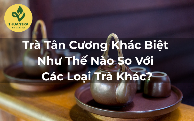 Trà Tân Cương Khác Biệt Như Thế Nào So Với Các Loại Trà Khác?