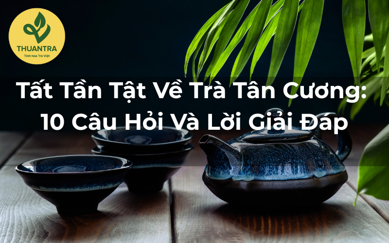 Tất Tần Tật Về Trà Tân Cương: 10 Câu Hỏi Và Lời Giải Đáp