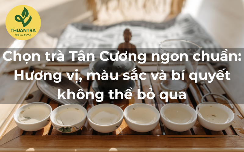 Chọn trà Tân Cương ngon chuẩn: Hương vị, màu sắc và bí quyết không thể bỏ qua