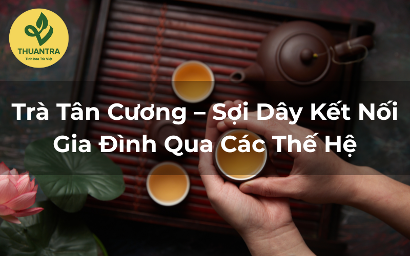 Trà Tân Cương – Sợi Dây Kết Nối Gia Đình Qua Các Thế Hệ