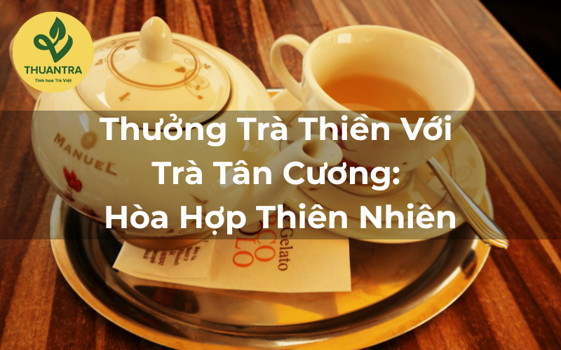 Thưởng Trà Thiền Với Trà Tân Cương: Hòa Hợp Thiên Nhiên