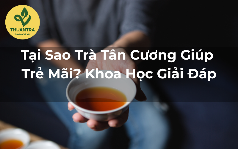 Tại Sao Trà Tân Cương Giúp Trẻ Mãi? Khoa Học Giải Đáp