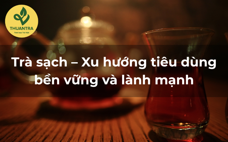 Trà sạch – Xu hướng tiêu dùng bền vững và lành mạnh