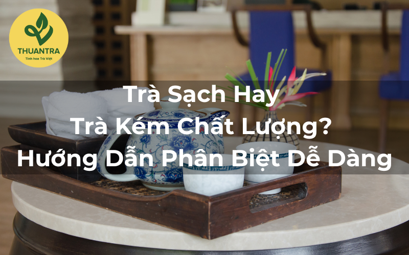 Trà Sạch Hay Trà Kém Chất Lượng? Hướng Dẫn Phân Biệt Dễ Dàng
