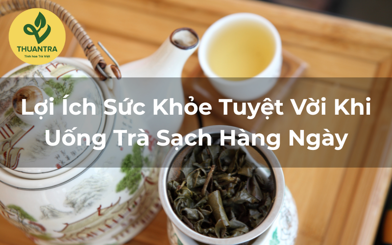 Lợi Ích Sức Khỏe Tuyệt Vời Khi Uống Trà Sạch Hàng Ngày