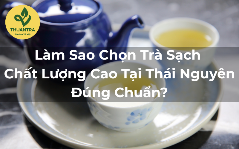 Làm Sao Chọn Trà Sạch Chất Lượng Cao Tại Thái Nguyên Đúng Chuẩn?