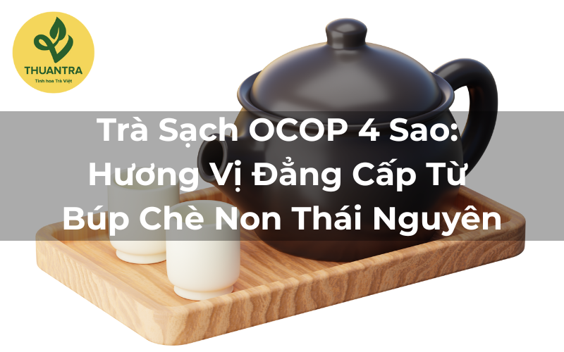 Trà Sạch OCOP 4 Sao: Hương Vị Đẳng Cấp Từ Búp Chè Non Thái Nguyên