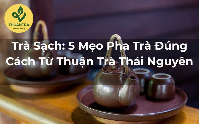 Trà Sạch: 5 Mẹo Pha Trà Đúng Cách Từ Thuận Trà Thái Nguyên