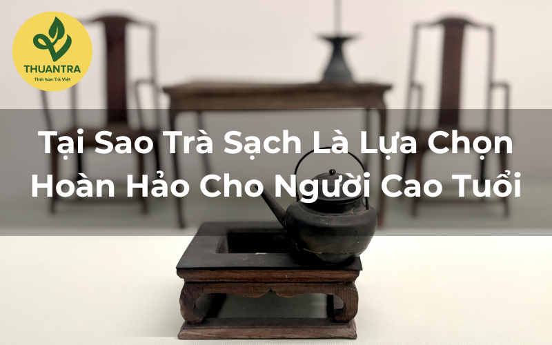 Tại Sao Trà Sạch Là Lựa Chọn Hoàn Hảo Cho Người Cao Tuổi?