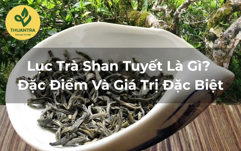 Lục Trà Shan Tuyết Là Gì? Đặc Điểm Và Giá Trị Đặc Biệt