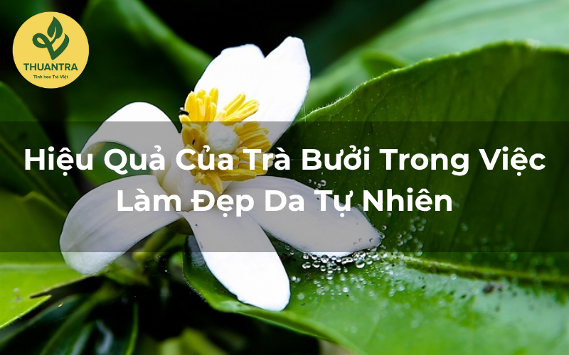 Hiệu Quả Của Trà Bưởi Trong Việc Làm Đẹp Da Tự Nhiên