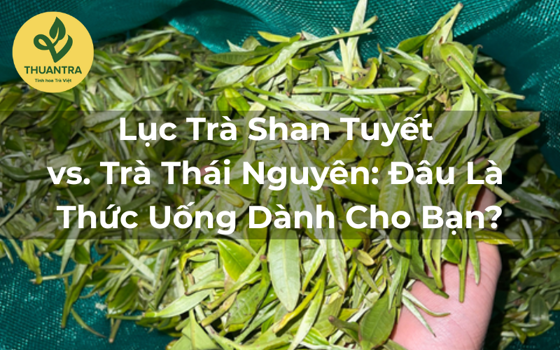 Lục Trà Shan Tuyết vs. Trà Thái Nguyên: Đâu Là Thức Uống Dành Cho Bạn?