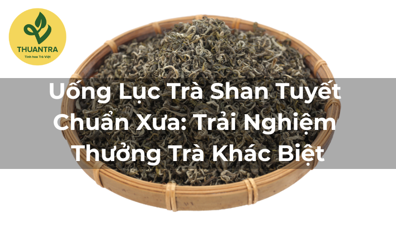 Uống Lục Trà Shan Tuyết Chuẩn Xưa: Trải Nghiệm Thưởng Trà Khác Biệt