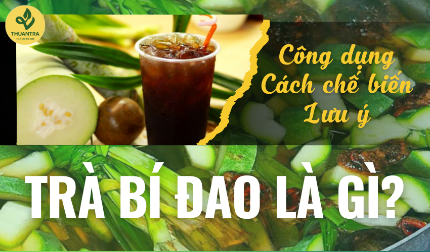 Trà bí đao là gì? Công dụng, cách chế biến và những lưu ý trong sử dụng có thể bạn chưa biết