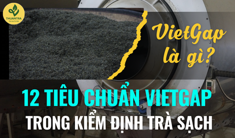 VietGap là gì? Tìm hiểu 12 tiêu chuẩn VietGap trong kiểm định chất lượng trà sạch