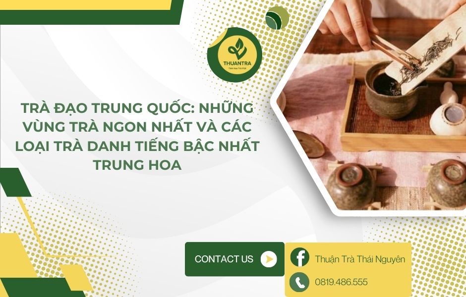 Trà đạo Trung Quốc: Những vùng trà ngon nhất và các loại trà danh tiếng bậc nhất Trung Hoa