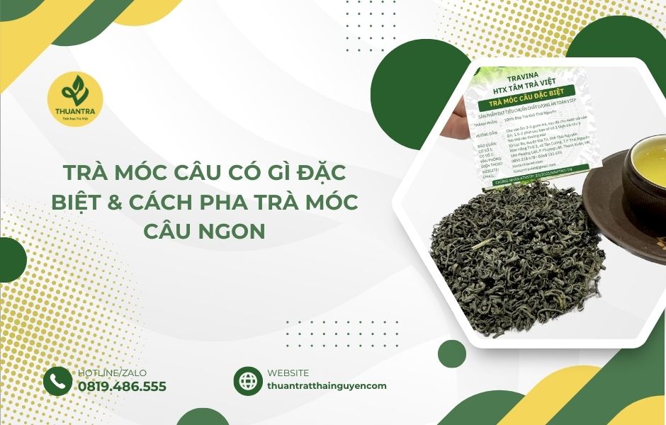 Trà móc câu có gì đặc biệt & cách pha trà móc câu ngon