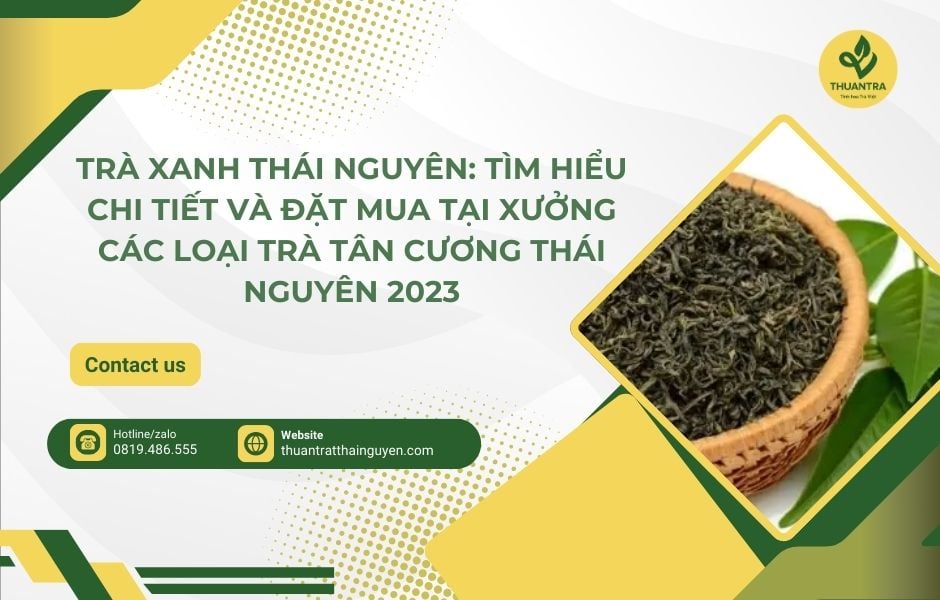 Trà xanh Thái Nguyên: Tìm hiểu chi tiết và đặt mua tại xưởng các loại trà Tân Cương Thái Nguyên 2023