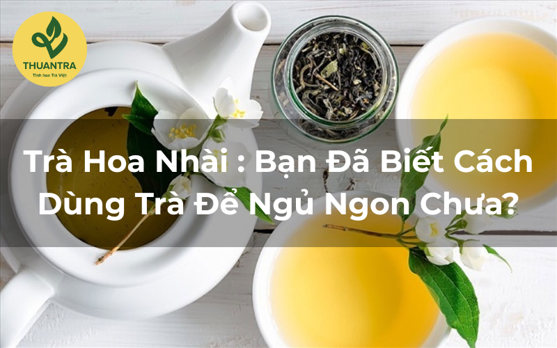 Trà Hoa Nhài : Bạn Đã Biết Cách Dùng Trà Để Ngủ Ngon Chưa?