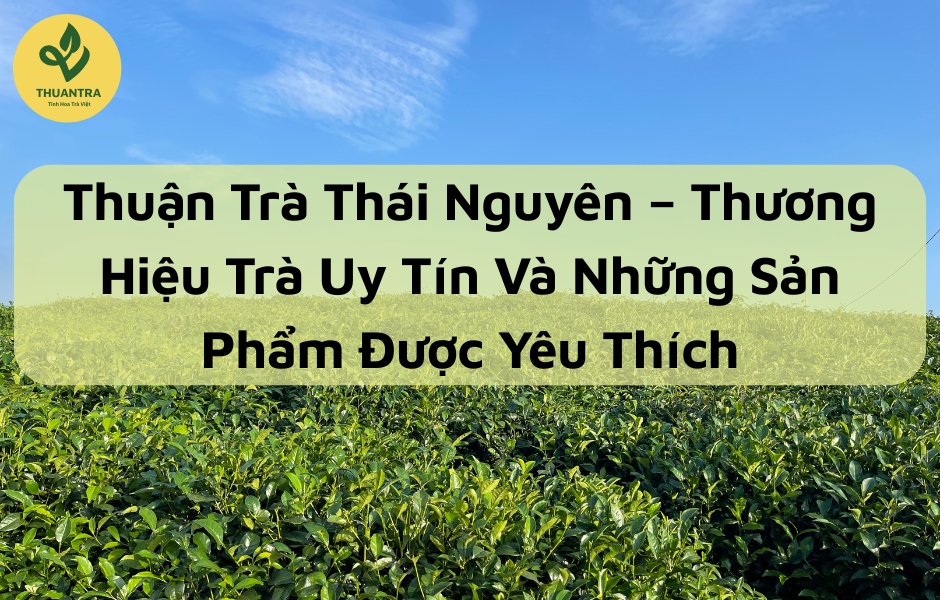 Thuận Trà Thái Nguyên – Thương Hiệu Trà Uy Tín Và Những Sản Phẩm Được Yêu Thích