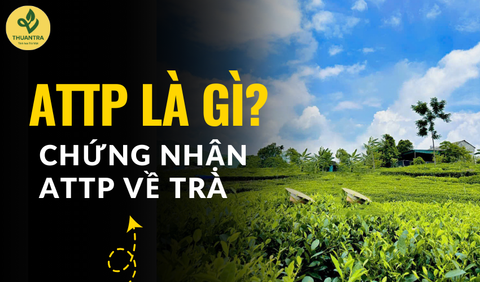 ATTP là gì? Làm thế nào để nhận được giấy chứng nhận ATTP về Trà?