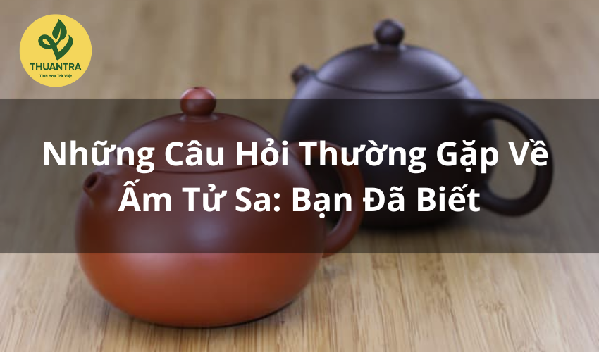 Những Câu Hỏi Thường Gặp Về Ấm Tử Sa: Bạn Đã Biết?