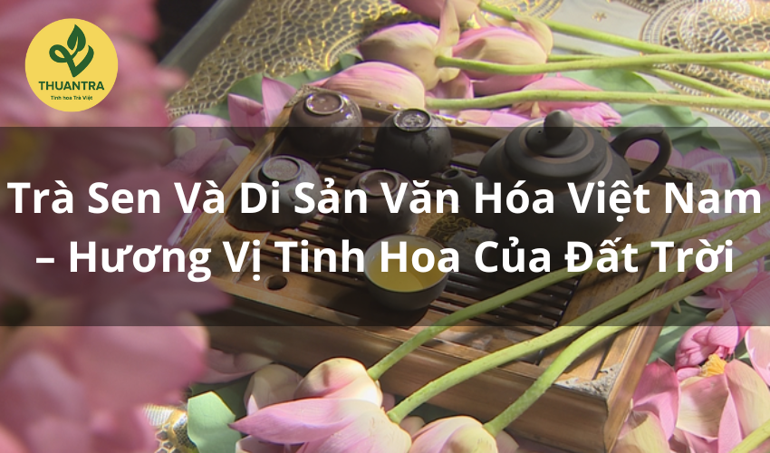 Trà Sen Và Di Sản Văn Hóa Việt Nam – Hương Vị Tinh Hoa Của Đất Trời