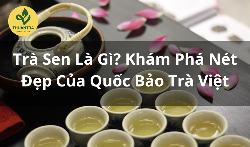 Trà Sen Là Gì? Khám Phá Nét Đẹp Của Quốc Bảo Trà Việt