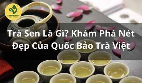 Trà Sen Là Gì? Khám Phá Nét Đẹp Của Quốc Bảo Trà Việt