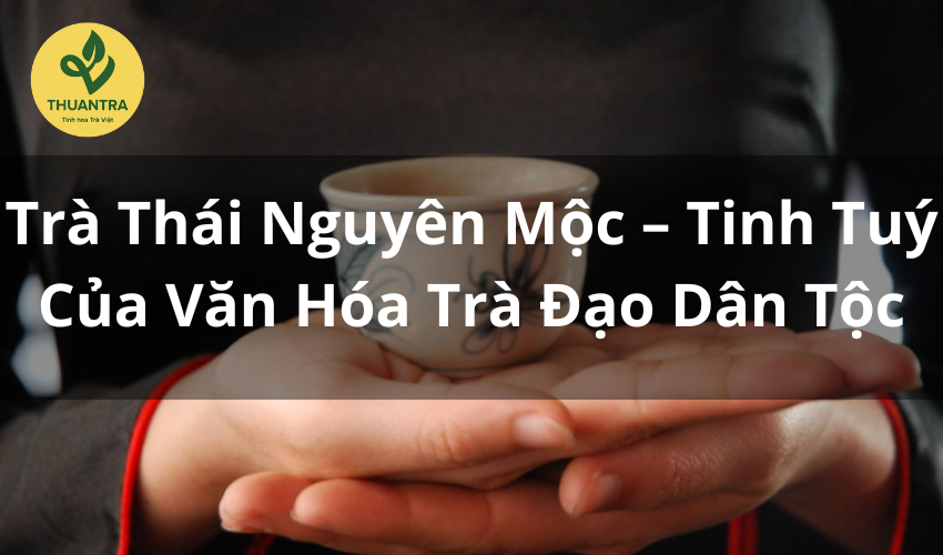 Trà Thái Nguyên Mộc – Tinh Tuý Của Văn Hóa Trà Đạo Dân Tộc