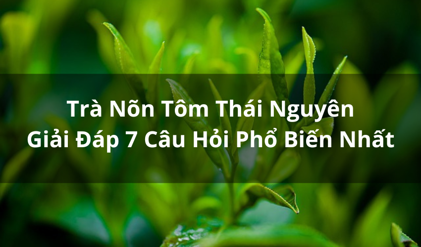 Trà Nõn Tôm Thái Nguyên: Giải Đáp 7 Câu Hỏi Phổ Biến Nhất
