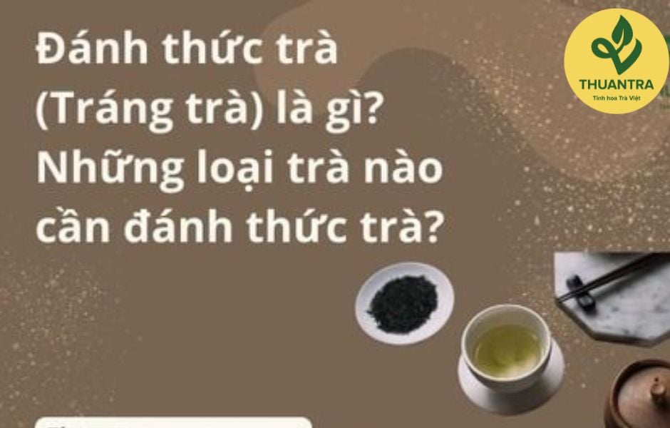 Đánh thức trà (Tráng trà) là gì? Những loại trà nào cần đánh thức trà?