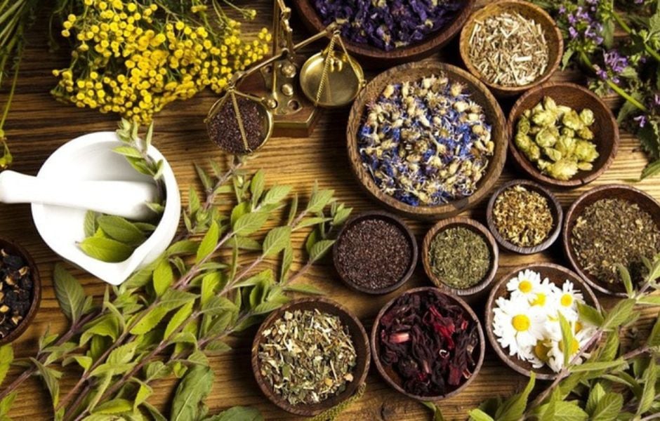 Lịch sử văn hóa trà thế giới về nước ta, và 