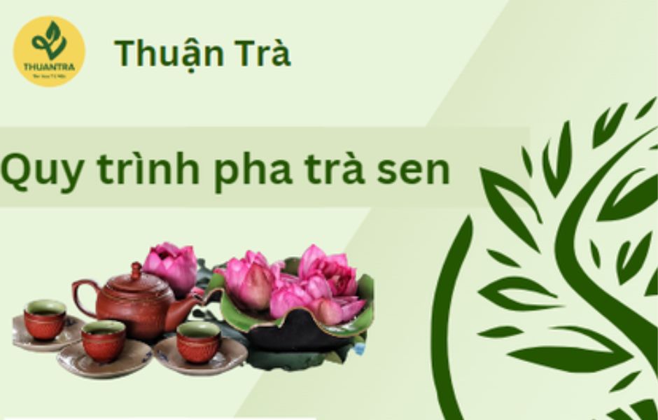Quy trình pha trà sen