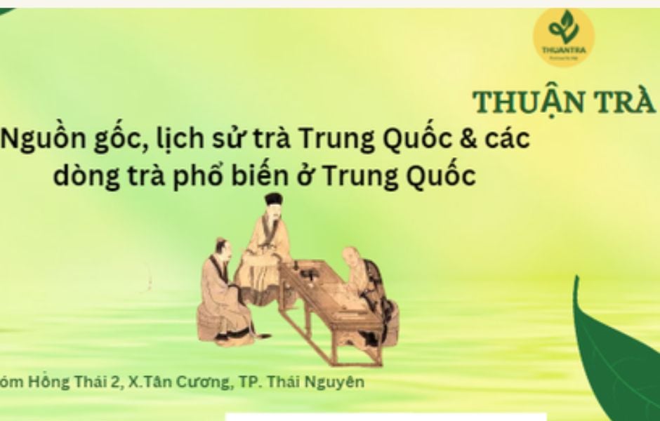 Nguồn gốc, lịch sử trà Trung Quốc & các dòng trà phổ biến ở Trung Quốc