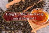 Hồng Trà Shan Tuyết có gì mà ai cũng mê ?