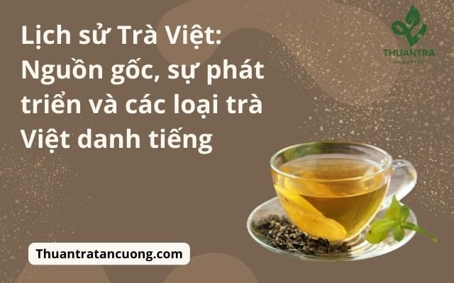 Lịch sử Trà Việt: Nguồn gốc, sự phát triển và các loại trà Việt danh tiếng