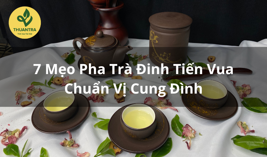 7 Mẹo Pha Trà Đinh Tiến Vua Chuẩn Vị Cung Đình