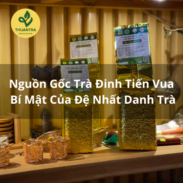 Nguồn Gốc Trà Đinh Tiến Vua – Bí Mật Của Đệ Nhất Danh Trà