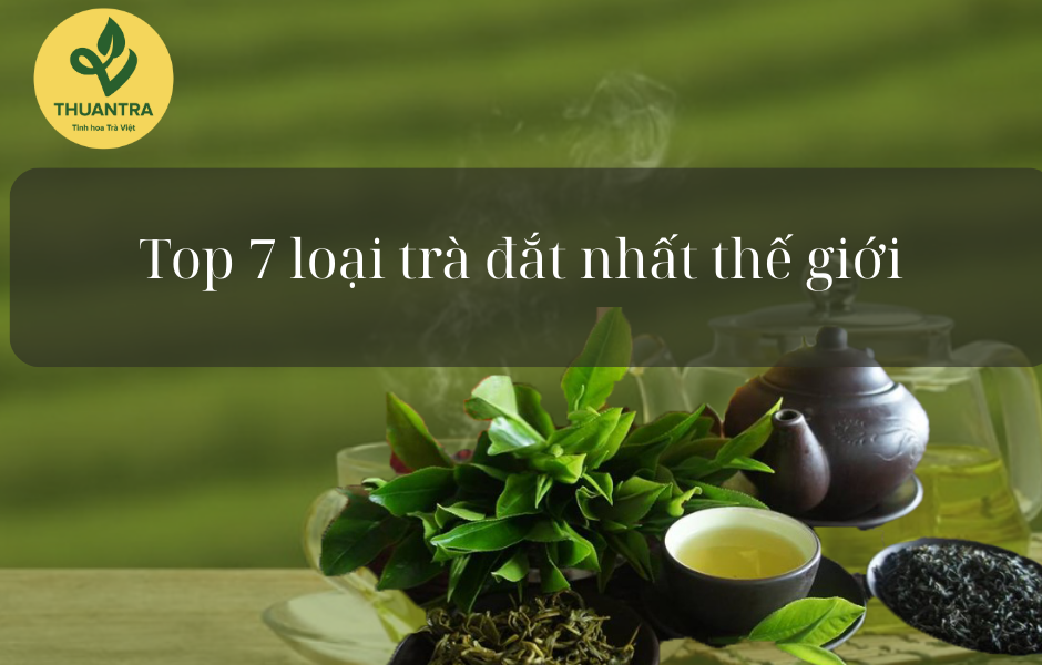 Top 7 loại trà đắt nhất thế giới